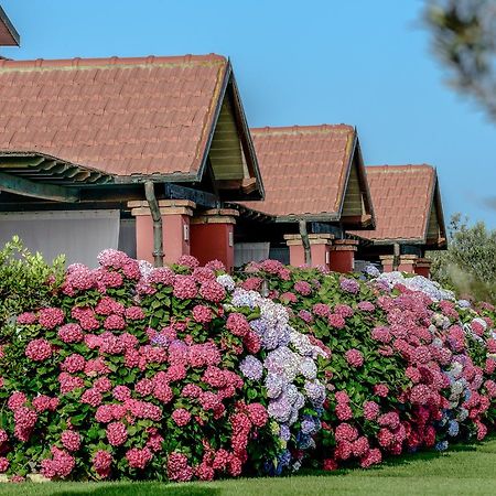 La Pecora Ladra Appartamenti Montalto di Castro Ngoại thất bức ảnh