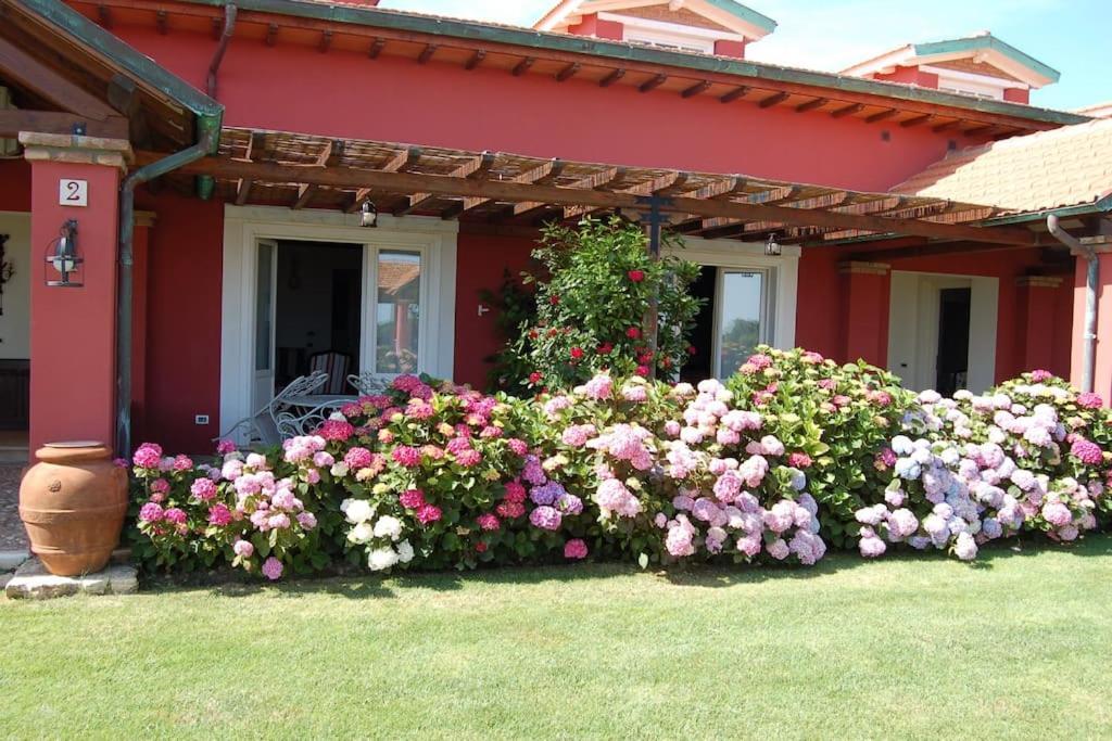 La Pecora Ladra Appartamenti Montalto di Castro Ngoại thất bức ảnh
