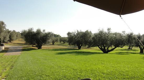 La Pecora Ladra Appartamenti Montalto di Castro Ngoại thất bức ảnh