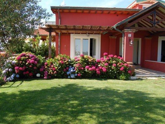 La Pecora Ladra Appartamenti Montalto di Castro Ngoại thất bức ảnh